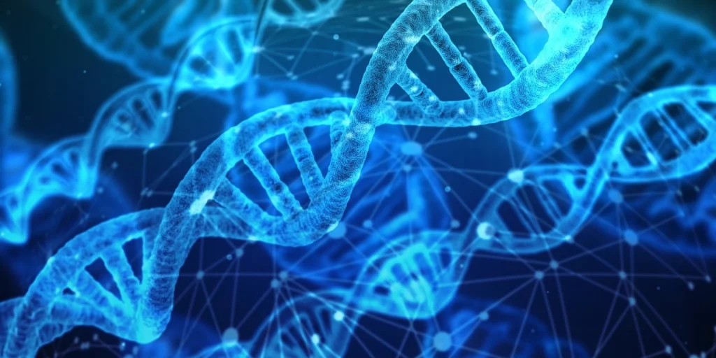 dna-3539309_1280-1024x512-jpg.webp